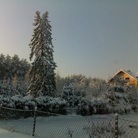 Gosciniec Nad Stawem Villa Шчитно Екстериор снимка