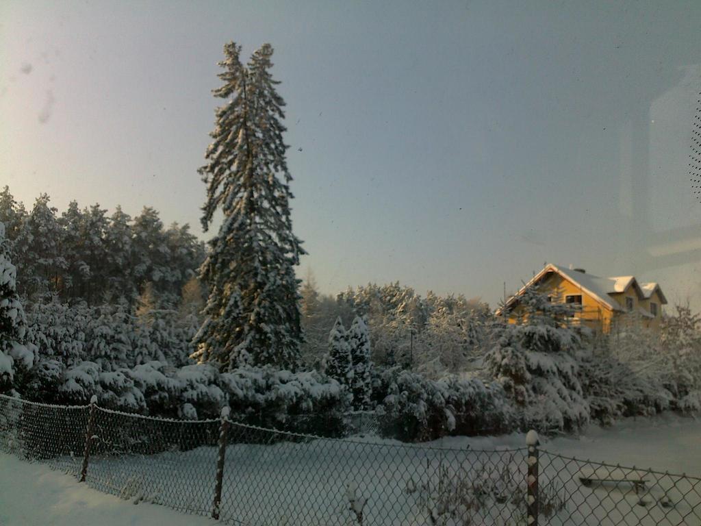Gosciniec Nad Stawem Villa Шчитно Екстериор снимка