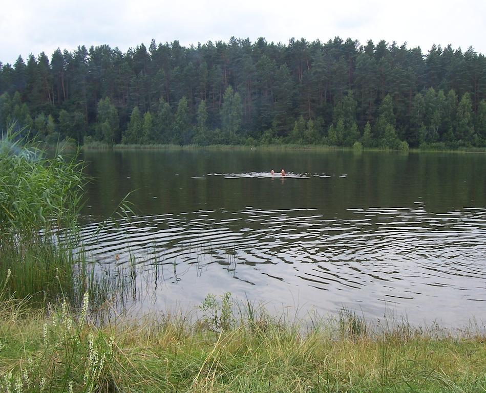 Gosciniec Nad Stawem Villa Шчитно Екстериор снимка
